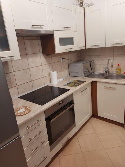 Homelyapartment Krakow Exterior photo